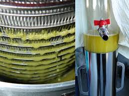 olive oil, extraction, centrifuge, complex process