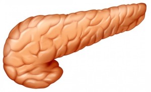 Pancreas-Pictures-3