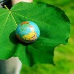 World Environment Day,June 5 – Points you must know !!