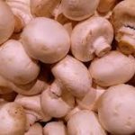 mushroom, fact,fungi, vitamin, protein