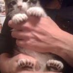 Polydactyl- Having an extra finger on hands or toes