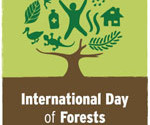 The International Forest Day, March 21, 21 March 2017, forest, tree, renewable energy, wood energy, temperature, global warming, energy, united nations, awareness, Food and Agriculture Organization, carbon dioxide, climate change