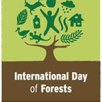 The International Forest Day- 21 March