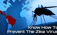 Zika infection, Zika virus, microcephaly, outbreak, sex, pregnancy, mosquito, flu, symptoms, prevention, Rajasthan, Jaipur, Guillain-Barré syndrome