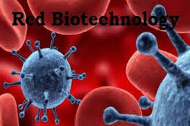 Red biotechnology, biotechnology, medicine, drug, Gene therapy, biopharmaceutics, pharmacokinetics, genetic screening,  Genetic testing, Virotherapy, Viruses 